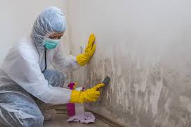 Mold Remediation for Vacation Homes in Center Point, AL